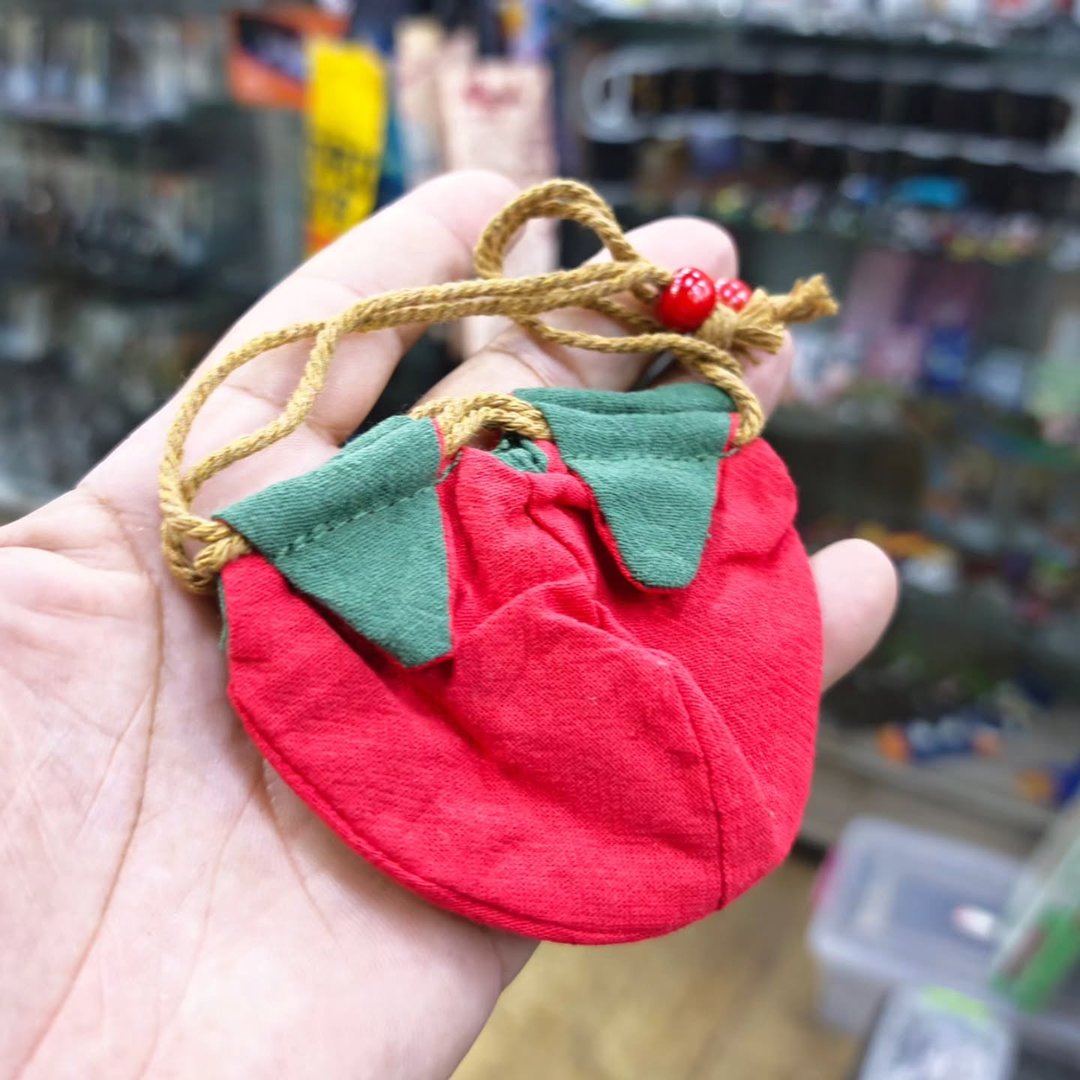 Jewelry Bag - alternate view