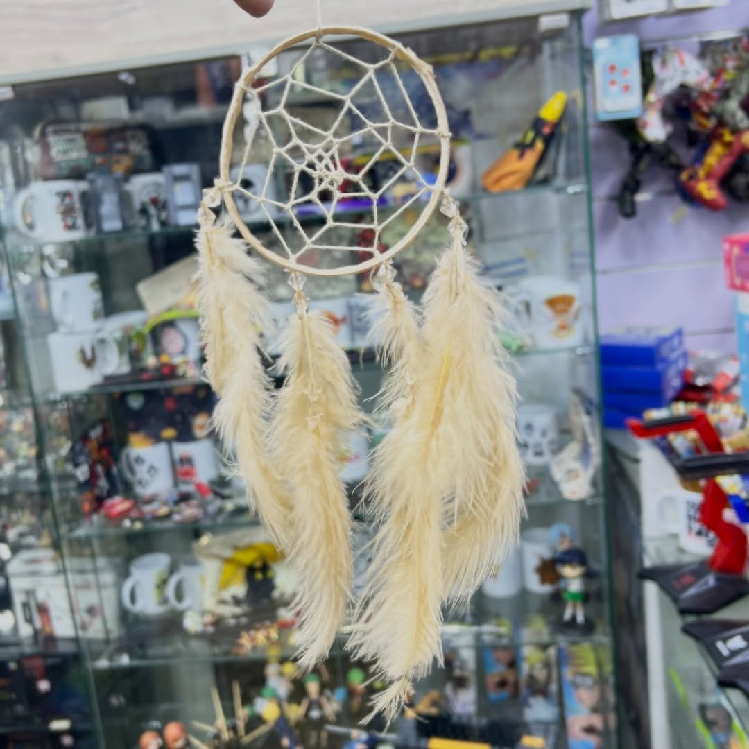 Dreamcatcher - alternate view