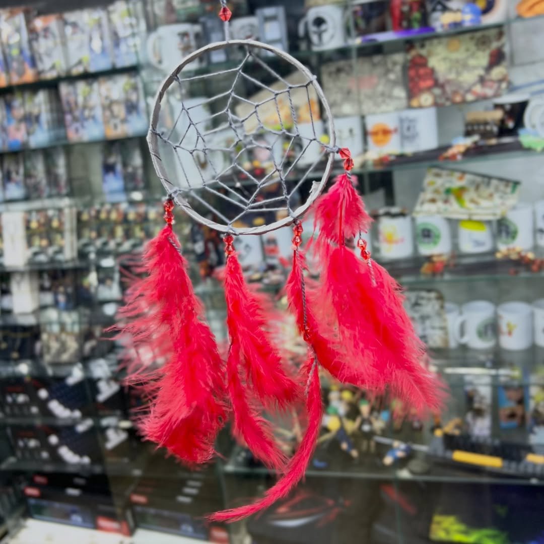 Dreamcatcher - alternate view