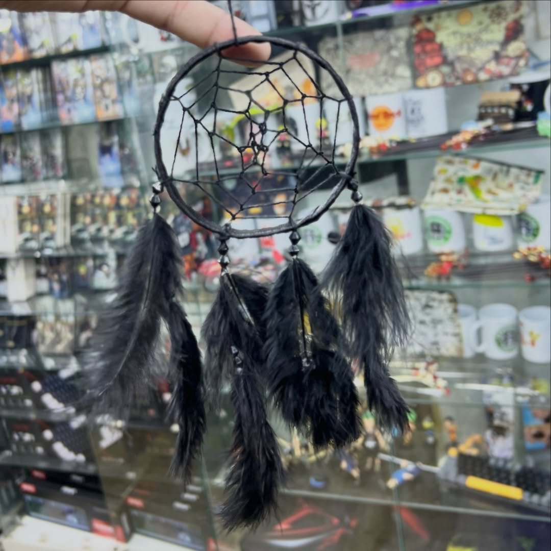 Dreamcatcher - alternate view