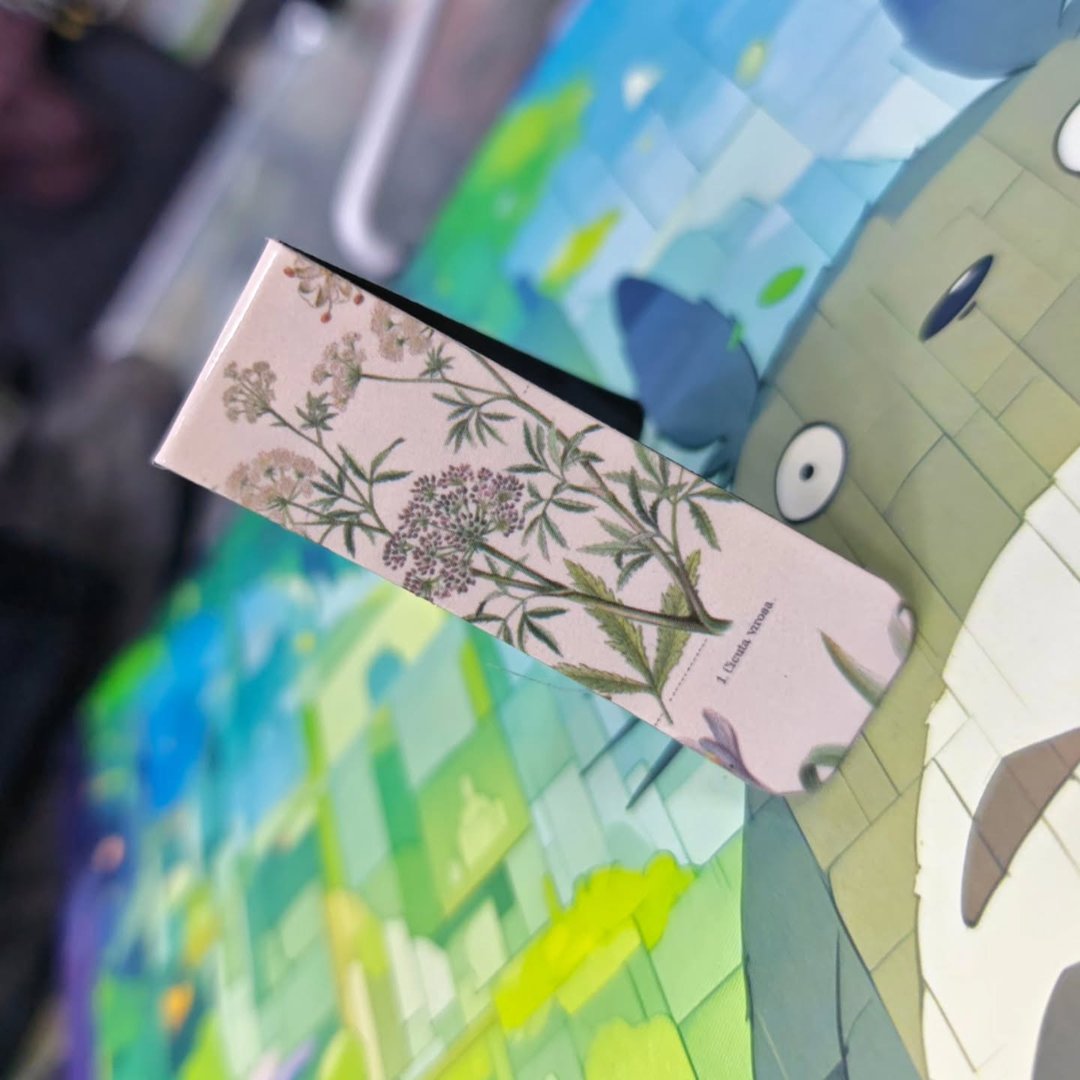 Magnetic Bookmark - Bookmark