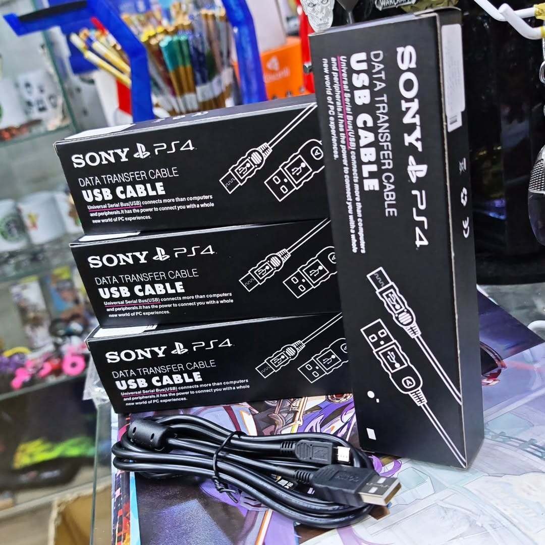 PS4 Controller Cable - Cable